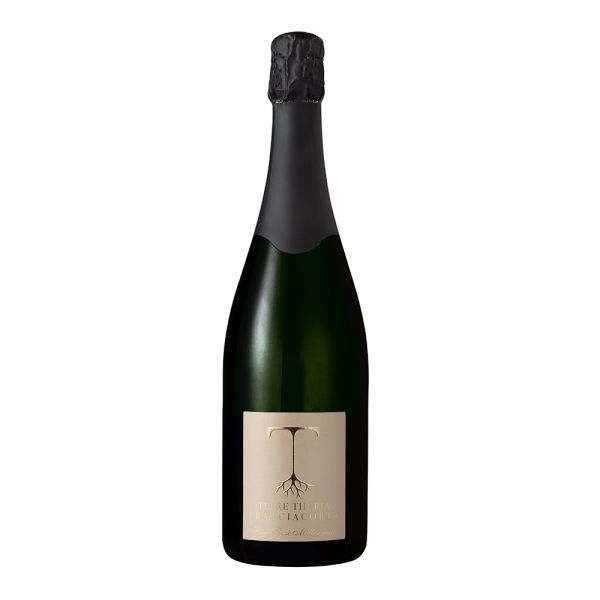 FRANCIACORTA BRUT ROSE MILLESIMATO 2020 75 CL 
