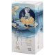 ASTUCCIO PER GIN PACIFIC OCEAN WATER  BOTTIGLIA 70 CL 
